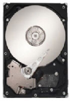 Seagate DiamondMax 20 160GB SATA 3Gb/s (STM3160211AS) Seagate DiamondMax 20 160GB SATA 3Gb/s (STM3160211AS)